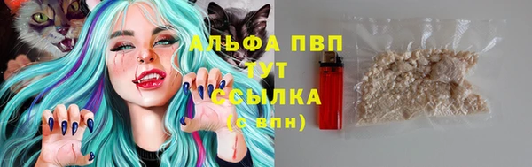 кокаин Богданович