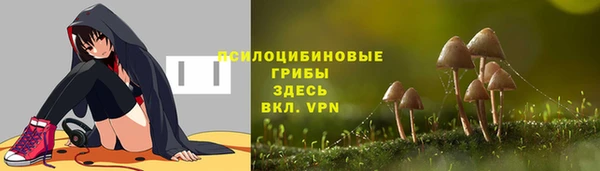 2c-b Беломорск