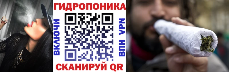 продажа наркотиков  Нелидово  Шишки марихуана MAZAR 